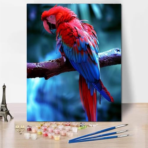 RNXAOPEN Malen Nach Zahlen - Digitale Malerei für Erwachsene Colorful Parrot - Bilder malen für Erwachsene, inklusive Pinsel und Acrylfarben, 50x65cm 5989-0 von RNXAOPEN