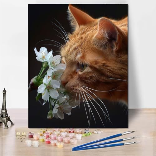 RNXAOPEN Malen Nach Zahlen Erwachsene, DIY Handgemalt Ölgemälde Kit für Anfänger und Erwachsene Mit 3-Pinseln und Acrylfarbe, Flower Cat Ohne Rahmen 30x40cm 6239-C von RNXAOPEN