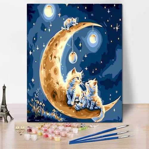 RNXAOPEN Malen Nach Zahlen Erwachsene, DIY Starry Sky Cat Handgemalt Ölgemälde Leinwand Kits, Anfänger Paint by Numbers Malen Nach Zahlen zur Heimdekoration, Kein Rahmen 40x50cm 4686-L von RNXAOPEN