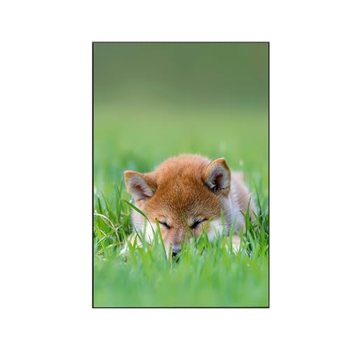 RNXAOPEN Malen Nach Zahlen Erwachsene Tier Malen Nach Zahlen, Paint by Numbers Fuchs Bastelset Erwachsene Frauen mit Pinseln und Acrylfarben für Deko Schlafzimmer, Geschenke für Frauen 60x80cm F-6 RNXAOPEN Malen Nach Zahlen Erwachsene Tier Malen Nach Zahlen, Paint by Numbers Fuchs Bastelset Erwachsene Frauen mit Pinseln und Acrylfarben für Deko Schlafzimmer, Geschenke für Frauen 60x80cm F-6 von RNXAOPEN
