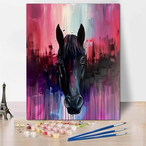 RNXAOPEN Malen Nach Zahlen Kinder Erwachsene - Black Horse - DIY Ölgemälde Faltenfreie Leinwand 3 Holzbürsten und Hochwertige Acrylfarbe Geschenk 60x80cm 5661-3 von RNXAOPEN