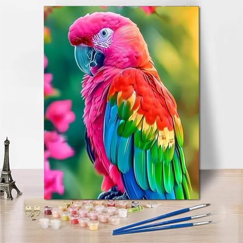 RNXAOPEN Malen Nach Zahlen Kinder Erwachsene - Color Parrot - DIY Ölgemälde Faltenfreie Leinwand 3 Holzbürsten und Hochwertige Acrylfarbe Geschenk 30x40cm 5861-H von RNXAOPEN