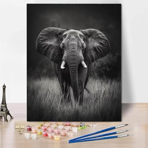 RNXAOPEN Malen Nach Zahlen ab Jahre Mädchen und Junge, Malen Nach Zahlen für Kinder Pinsel und Acrylfarben, 40x50cm Malen Nach Zahlen Erwachsene Leinwand Landscape Elephant 5057-5 von RNXAOPEN