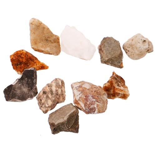 ROMISBABA 10st Lehrmittel Für Gesteinsproben Feuerstarter Kreativer Kieselstein Steinbecher Rock-tumbler-kit Edelsteine Perlen Zur Schmuckherstellung Amethyst Steindekor Kunststoff-box von ROMISBABA