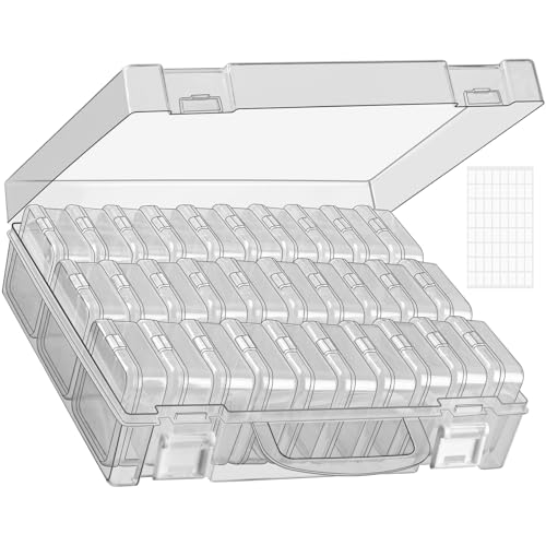 RONGLAIJIN Aufbewahrungsbox Klein, Diamond Painting Zubehör Boxen, 30 Teilige Kunststoff Perlen Aufbewahrungsbox mit Klappdeckel für Perlen Samen Schmuck Bastelarbeiten kleine Gegenstände (1 Stück) von RONGLAIJIN