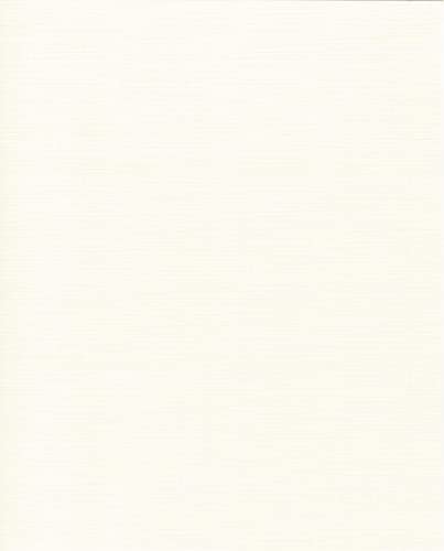 Leinen Kartenpapier-A4-Cardstock - 29,7x21cm - 240 Gramm - Karton (Creme, 20) von RS C&C