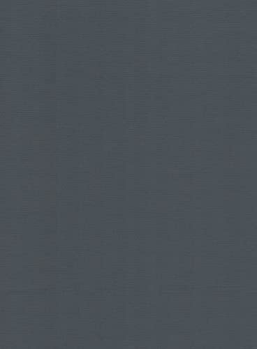 Leinen Kartenpapier-A4-Cardstock - 29,7x21cm - 240 Gramm - Karton (Dunkelgrau, 20) von RS C&C