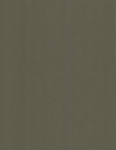 Leinen Kartenpapier-A4-Cardstock - 29,7x21cm - 240 Gramm - Karton (Pine Green, 100) von RS C&C