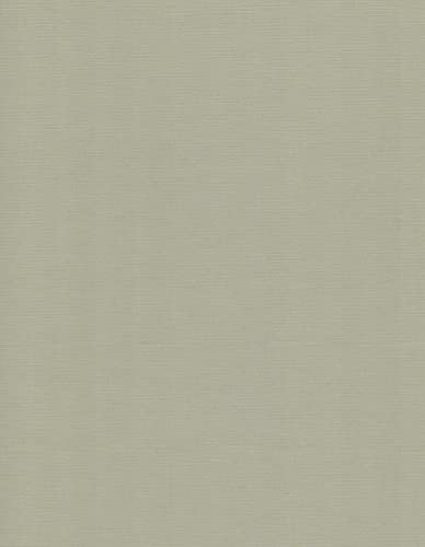 Leinen Kartenpapier-A4-Cardstock - 29,7x21cm - 240 Gramm - Karton (Taupe, 100) von RS C&C