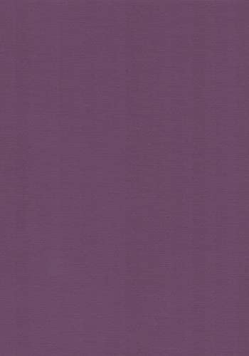 Leinen Kartenpapier-A4-Cardstock - 29,7x21cm - 240 Gramm - Karton (Traubenlila, 20) von RS C&C