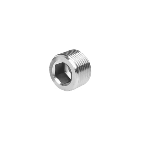 1PC BSPT/BSPP/NPT Außengewinde 304 Edelstahl Innensechskant Endkappe Innensechskant Stecker Öl Wasser Rohrverschraubung(BSPT thread,1I2 inch) von RTKYYZ