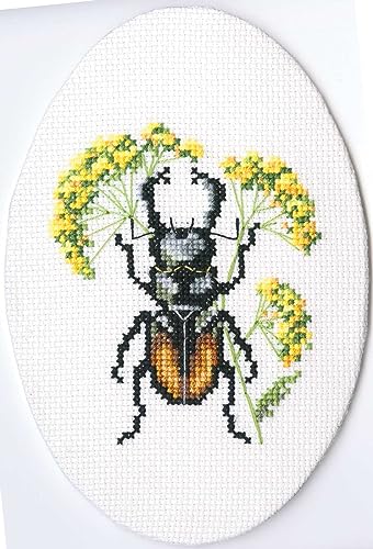 RTO Kreuzstich-Stickerei-Set für Erwachsene, Insekten, Natur – Käfer auf Haaren, 8 x 9 cm, 16 CT von RTO