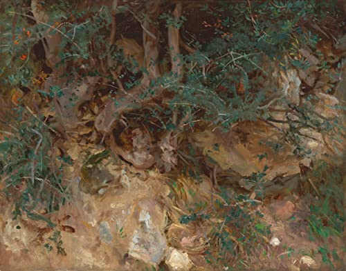 RZHRHJES Ölgemälde Wandbilder Abstrakte Leinwand Kunst Wandkunst Bild Druck Wilde Olivenbaumwurzeln Valldemosa mallorca von john singer sargent Kunst Leinwand Poster für Wanddekoration 60x90cm von RZHRHJES