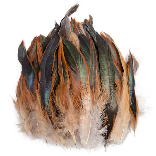 Raibertin 5-7Inch Natural Saddle Hill RoosterPheasant Feather for Crafts Kostüme Natural Coque Rooster hackel Feather DIY Schmuck Hüte Dream Catcher Pack of 100 pcs (Natürlich) von Raibertin