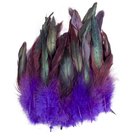 Raibertin 5-7Inch Natural Saddle Hill RoosterPheasant Feather for Crafts Kostüme Natural Coque Rooster hackel Feather DIY Schmuck Hüte Dream Catcher Pack of 100 pcs (lila) von Raibertin