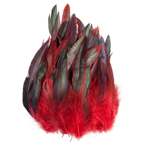 Raibertin 5-7Inch Natural Saddle Hill RoosterPheasant Feather for Crafts Kostüme Natural Coque Rooster hackel Feather DIY Schmuck Hüte Dream Catcher Pack of 100 pcs (rot) von Raibertin