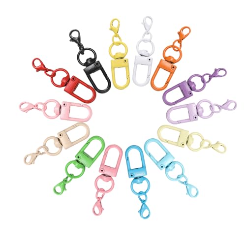 20 Stück Bunte Karabiner Schlüsselanhänger, Metall Karabinerhaken Hummer Schlüsselanhänger Haken, Schlüsselring mit Karabiner Basteln, Karabinerverschluss für Schlüssel, Hängende Spielzeuge, Diy von Rairsky