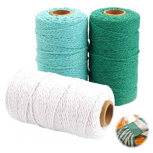 3 Stück Makramee Garn Set Bunt, 2mm x 100m Macrame, Baumwolle Makramee Baumwollgarn, Yarn Baumwollkordel Rope Garn zum Häkeln für DIY-Basteln, Weben, Dekoration, Aufhängen von Pflanzenhaltern von Rairsky