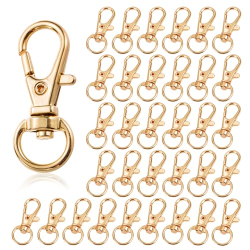 50 Stück Schlüsselanhänger Ringe Schlüsselring Karabiner, Schlüsselring mit Karabiner, Schlüsselanhänger Selber Machen, Drehbare Schlüsselringe für Armbänder, Reißverschlüsse, Schmuck, Schlüsselband von Rairsky