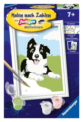 Ravensburger Malen nach Zahlen 23759 - Border Collie Welpe - Kinder ab 7 Jahren von Ravensburger