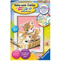 Ravensburger Malen-nach-Zahlen Katzenbabys mehrfarbig von Ravensburger