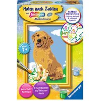 Ravensburger Malen-nach-Zahlen Kleiner Golden Retriever mehrfarbig von Ravensburger