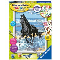 Ravensburger Malen-nach-Zahlen Pferd am Strand mehrfarbig von Ravensburger