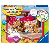 Ravensburger Malen-nach-Zahlen Zwei Schmusekätzchen mehrfarbig von Ravensburger