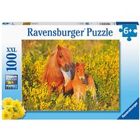 Ravensburger XXL Shetlandponys Puzzle, 100 Teile von Ravensburger