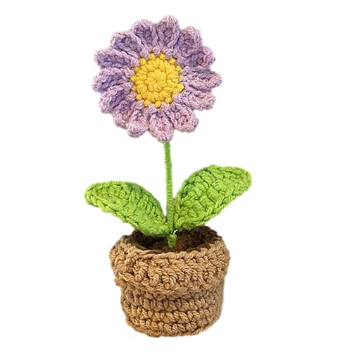 Handgefertigtes gehäkeltes Auto, gehäkelte Topfblumen Auto, Autopflanze Häkeln Hängekorb, Häkelpflanze für Auto, Häkeldekor Blume Topfpflanze, kleine Blume Stricken, Schreibtisch, Schlafzimmer, von Raxove