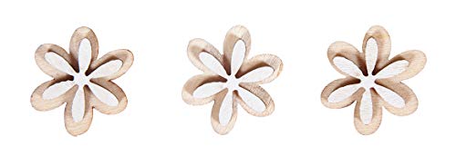 Rayher 46403000 Holz-Streuteile Blume, 2cm Ø, SB-Btl 10 Stück von Rayher