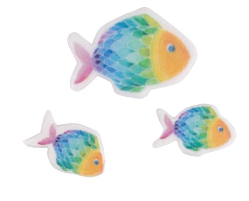 Rayher Wachsmotiv Regenbogen Fisch, Regenbogen, 2,3x1,6cm + 3,7x2,5cm, SB-Btl. 3Stück, 31651990 von Rayher