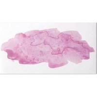 Rayher Wachsmotiv rosa Watercolor von Rayher