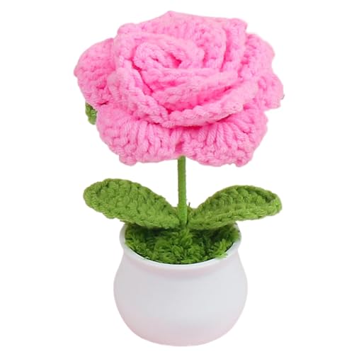 Raypontia Häkelblumen,Häkelblume,Handgefertigte Strickblumen, gehäkelte Rosen - Schreibtischblumen, kleine Topfpflanzen, Häkeldekor, Geschenk für Mama, Auto-Armaturenbrett, Heimbüro von Raypontia