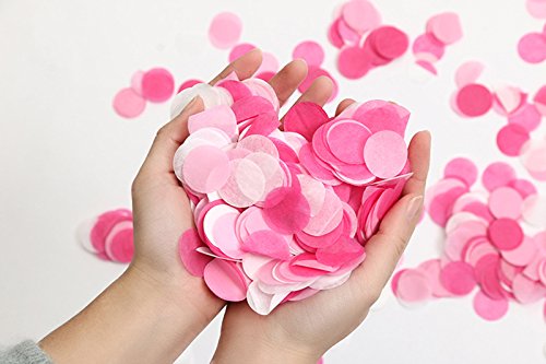 Regendeko 1 Zoll 1000 Stück Papier Konfetti Runde Rosa Weiß Hochzeit Geburtstagsfeier Deko von Regendeko