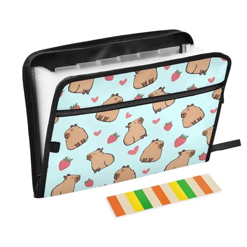 Fächermappe mit Erdbeerherzen, niedliches Capybara mit Klebeetiketten, 13 Taschen, Akkordeon-Aktenordner, Dokumenten-Organizer mit Reißverschluss, Blau von Reiacy