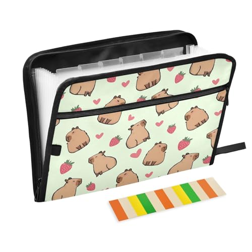 Fächermappe mit Erdbeerherzen, niedliches Capybara mit Klebeetiketten, 13 Taschen, Akkordeon-Aktenordner, Dokumenten-Organizer mit Reißverschluss, Grün von Reiacy