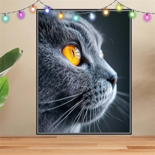 5D DIY Diamond Painting Kinder Klein Blaue Katze,Tier,Diamant Painting Bilder 100x133cm,Mosaikherstellung Malen Nach Zahlen Cross Stitch Malerei Set,Daiments Painting Erwachsene für Wand Decor F7239 von Reluehu