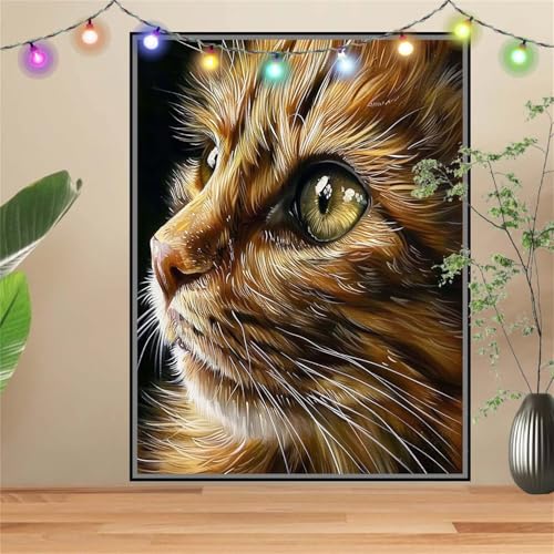 5D Diamond Painting,Diamant Painting Bilder Katze,Tier Full Mosaic Making für Kinder,DIY Diamond Painting Erwachsene groß 30x40cm,Cross Stitch Diamond Painting Bilder für Gift Home Wall Decor D2002 von Reluehu