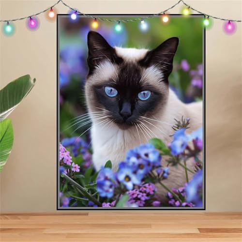 5D Diamond Painting Erwachsene Kyara Katze,Tier,DIY Diamant Painting Bilder Kinder (30x40cm),Crystal Strass Stickerei Painting Diamant Malerei Kit,Diamant Crystal Arts Craft für Wand Decor F-6332 von Reluehu