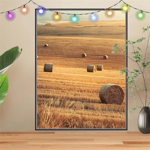 5D Diamond Painting Erwachsene Weizenfeld,Landschaft,DIY Diamant Painting Bilder Kinder 70x90cm,Crystal Strass Stickerei Painting Diamant Malerei Kit,Diamant Crystal Arts Craft für Wand Decor D2416 von Reluehu