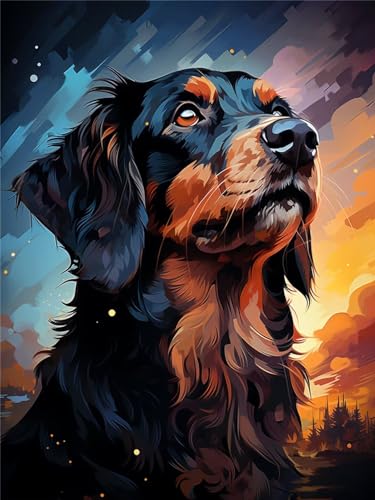 DIY 5D Diamond Painting Gordon Setter,Hund 5D Diamant Painting Bilder Kinder,Diamant Crystal Arts Basteln Cross Stickerei Malerei nach Zahlen,Daiments Painting Erwachsene Für Wanddeko 20x27cm A1190 von Reluehu