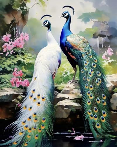 Renqidian kreuzstich set Vorgedruckt Pfau 11 CT Erwachsene Anfanger Kreuzstich Stickpackungen für Wandkunst-Heimdekoration 40x50 cm von Renqidian