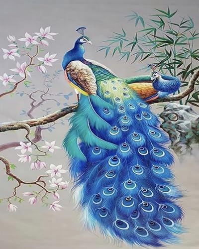 Renqidian kreuzstich set Vorgedruckt Pfau 11 CT Erwachsene Anfanger Kreuzstich Stickpackungen für Wandkunst-Heimdekoration 40x50 cm von Renqidian