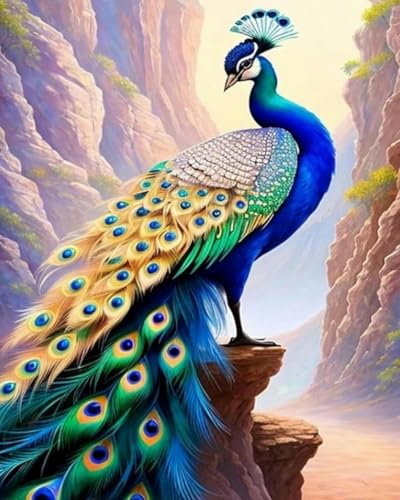 Renqidian kreuzstich set Vorgedruckt Tierischer Pfau 11 CT Erwachsene Anfanger Kreuzstich Stickpackungen für Wandkunst-Heimdekoration 40 × 50cm von Renqidian