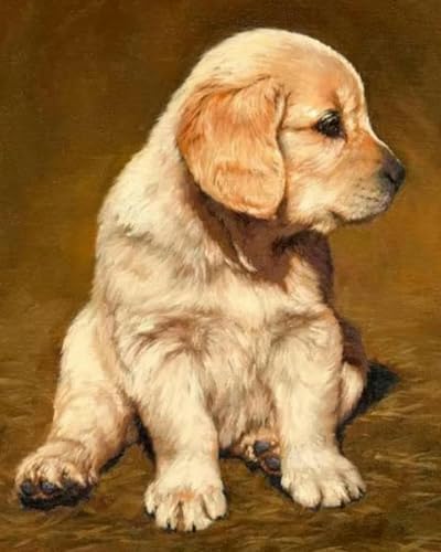 Renqidian kreuzstich set Vorgedruckt tierischer Golden Retriever 11 CT Erwachsene Anfanger Kreuzstich Stickpackungen für Wandkunst-Heimdekoration 40 × 50cm von Renqidian