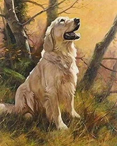 Renqidian kreuzstich set Vorgedruckt tierischer Golden Retriever 11 CT Erwachsene Anfanger Kreuzstich Stickpackungen für Wandkunst-Heimdekoration 40 × 50cm von Renqidian