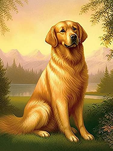 Reofrey Diamond Painting Zubehör DIY Diamantmalerei Gras Hund Golden Retriever Bohren Voll Stickerei Strass Diamant Malerei Set Wanddekoration 30x40 cm von Reofrey