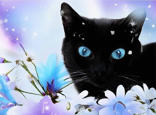 Reofrey N/A Diamond Painting Zubehör DIY Diamantmalerei Blume Schwarze Katze Bohren Voll Stickerei Strass Diamant Malerei Set Wanddekoration 30x40 cm154 von Reofrey