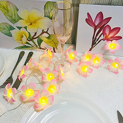 Künstliche Plumeria Blume LED-Lichterkette Hawaiianischer Schaum Frangipani Batteriebetriebene Feen-Nachtlichter für die Weihnachtsfeier Home Wedding Beach Decor (Rosa, 3m/20LED) von Riaxuebiy